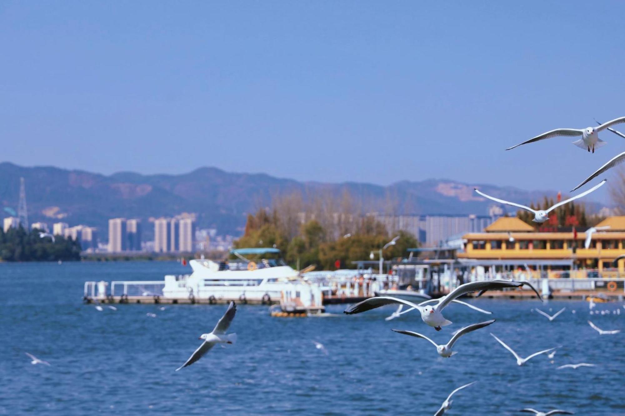 Intercontinental Kunming By Ihg Otel Dış mekan fotoğraf