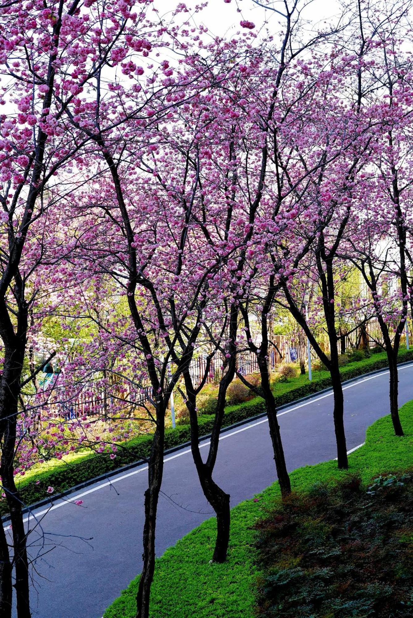 Intercontinental Kunming By Ihg Otel Dış mekan fotoğraf
